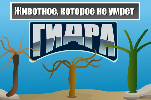 Кракен наркомагазин