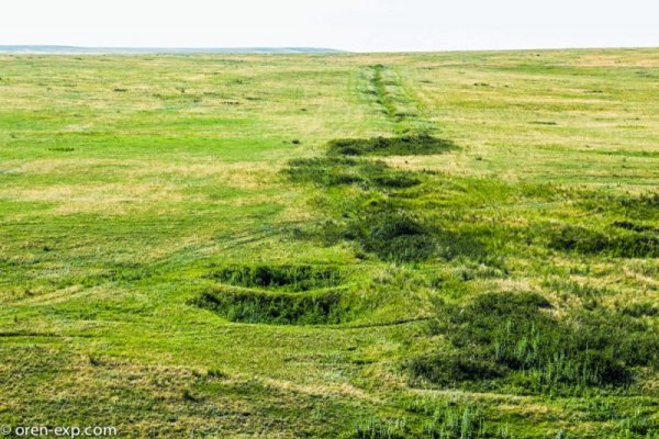 Актуальная ссылка на кракен