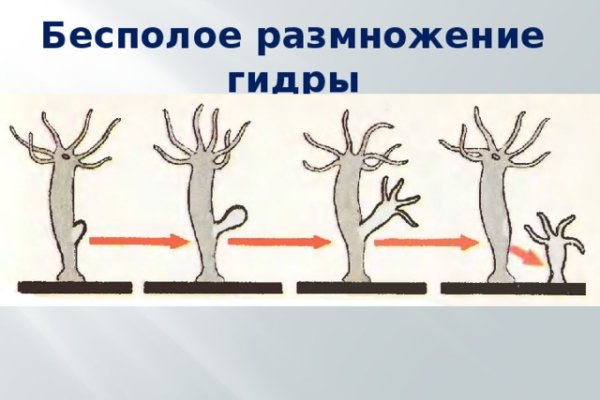 Кракен это современный даркнет маркет