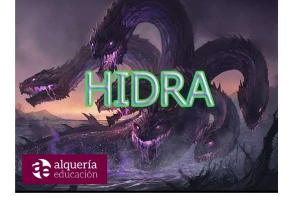 Kraken ссылка зеркало официальный