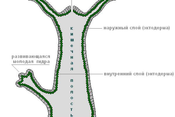 Кракен сайт что