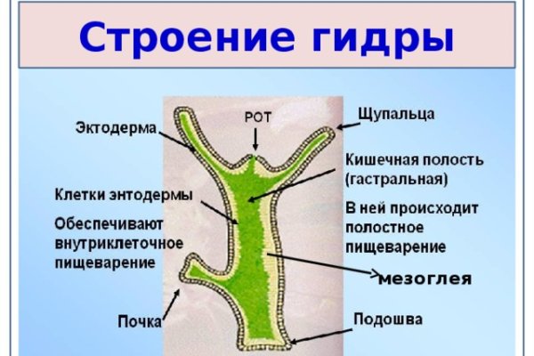 Сайт тор кракен