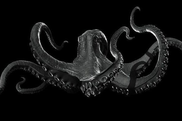 Kraken настоящая ссылка