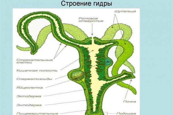 Kraken 16 at сайт